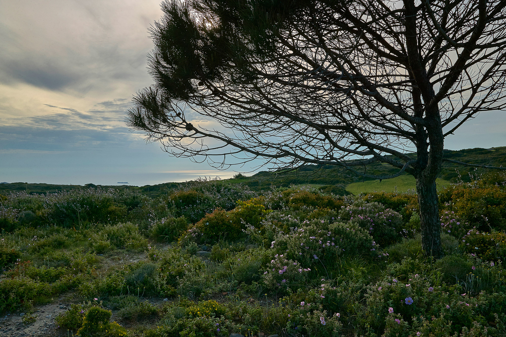 Abendstimmung auf Rhodos